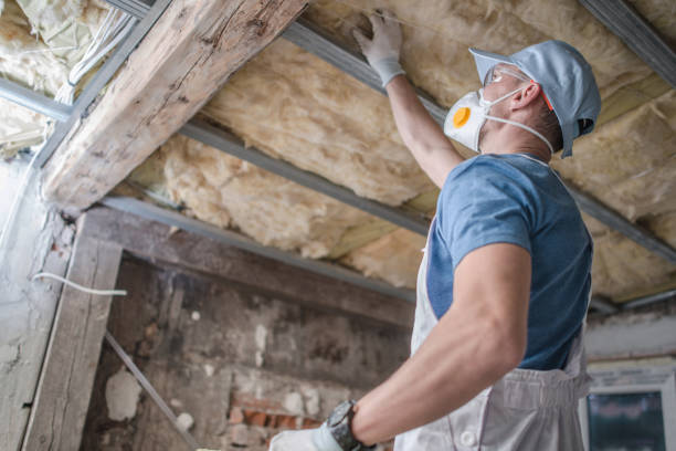 Types of Insulation We Offer in La Mirada, CA