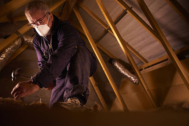 Trusted La Mirada, CA Insulation Contractor Experts